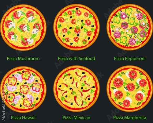 Set of pizza with different ingredients. Vector flat pizza on black background.