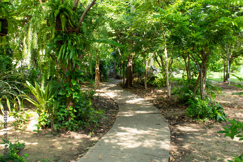 The park is in the shady tree cover. The park is in the shady tree cover.