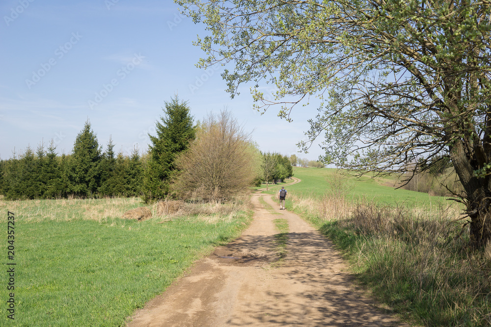 spring in Sowie mountains in Poland