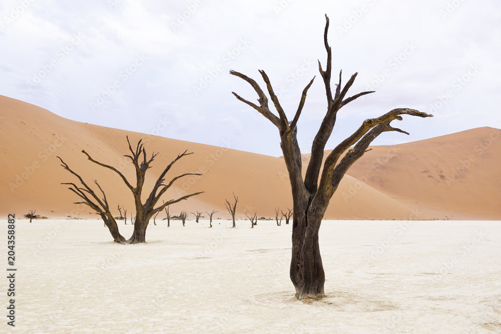 Tote Bäume, Deadvlei