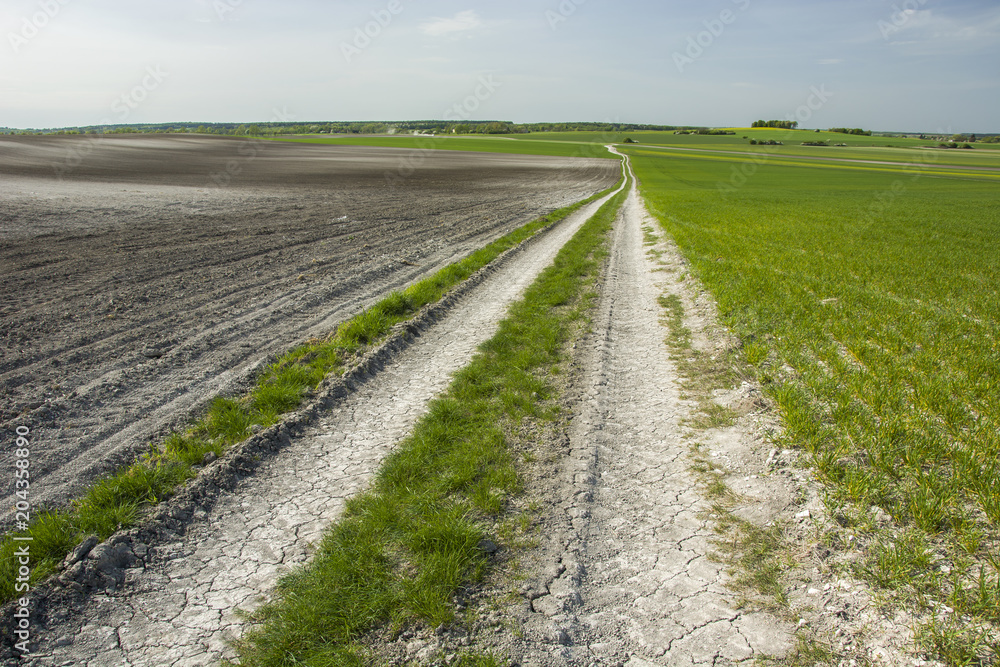 Long country road, plowed field and meadows Long country road, plowed field and meadows