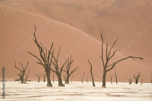 Tote Bäume, Deadvlei