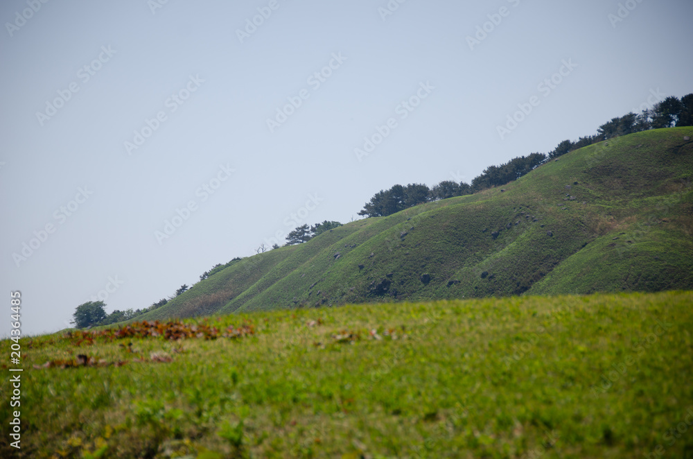 静岡県賀茂郡東伊豆町稲取の細野高原です。春の山菜狩りシーズンの画像です。2018年4月17日に国際連合教育科学文化機関（ユネスコ）から国内9地域目の世界ジオパークに認定されました。