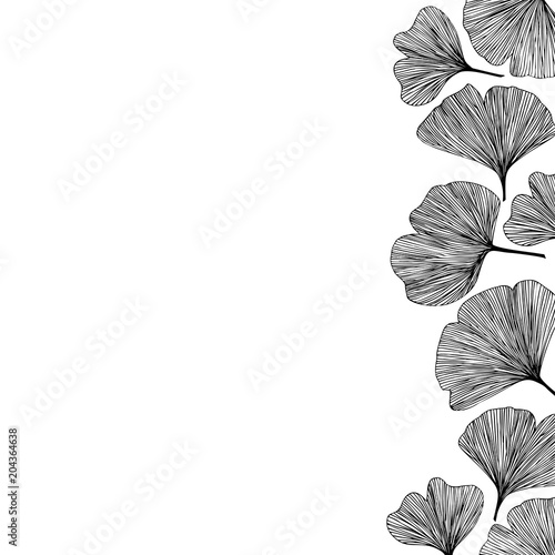 Ginkgo biloba leaves, vector illustration right side border in black for background