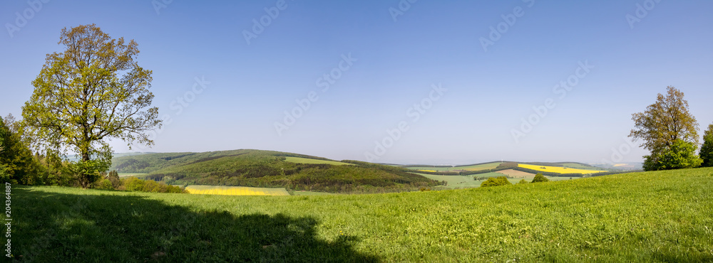 Fototapeta Panoramiczny widok na wiosenną wieś z zieloną łąką i lasami
