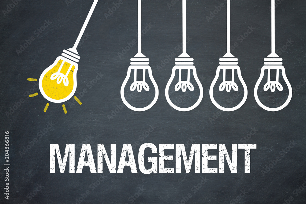 Fototapeta premium Management