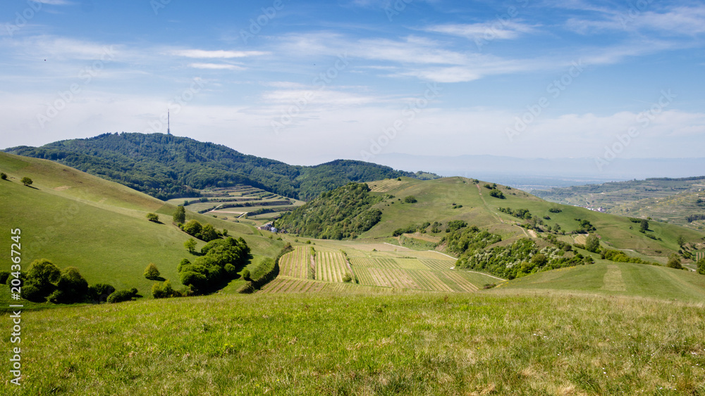 Obraz premium Looking at the Kaiserstuhl on top of the Badberg, Germany. perfect place to do some hiking and picnicking. 