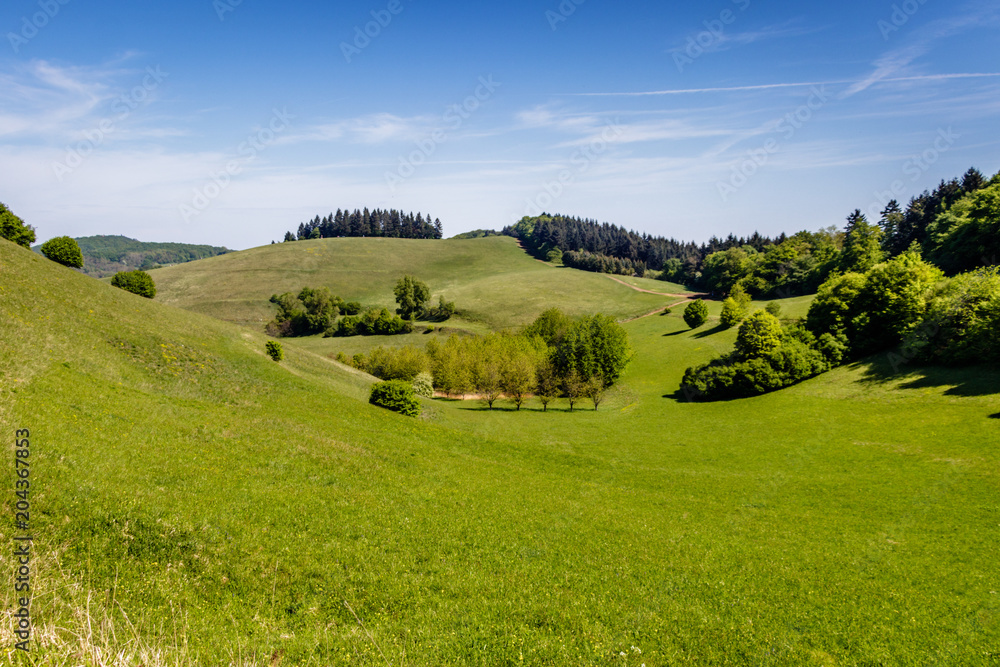 Naklejka premium The Badberg in Kaiserstuhl, Germany. perfect place to do some hiking and picnicking. 