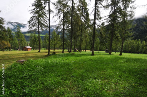 Gebirge Südtirol Berge Weide Alm