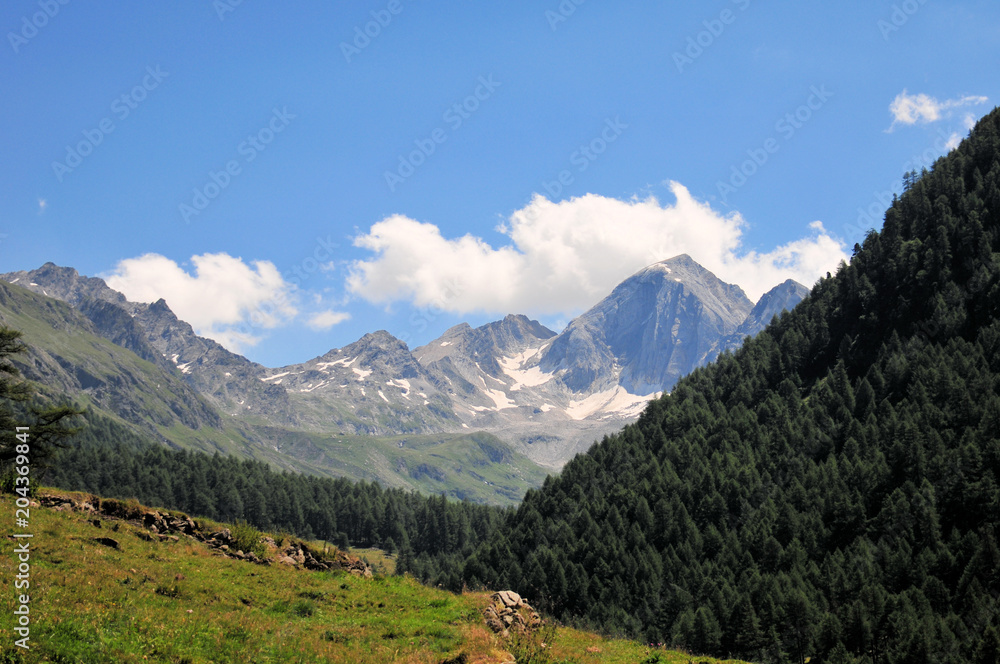 Gebirge Südtirol Berge Schlucht