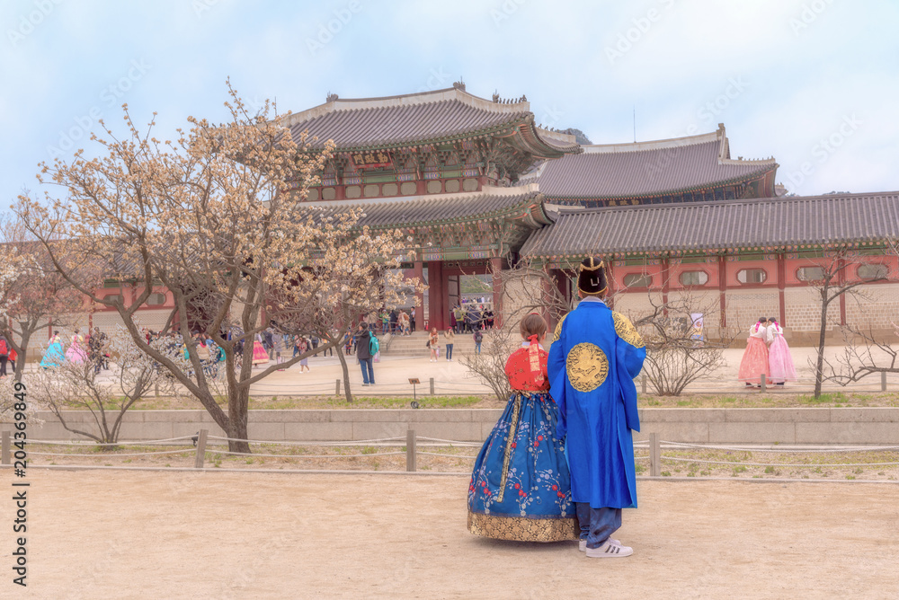 Fototapeta premium Korean Lover dressed Hanbok traditional of spring cherry blossom in Gyeongbokgung Palace in Seoul, South Korea.....