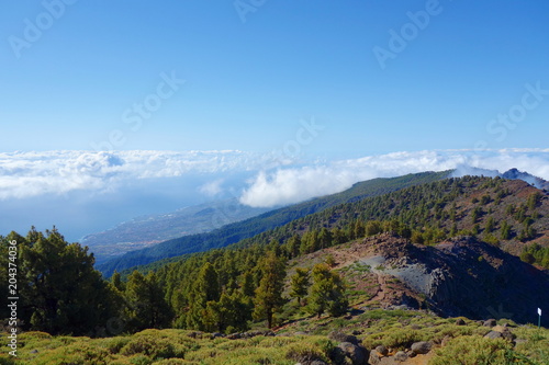 Hiking trail GR131 Rute de los Volcanes leading on the edge of Caldera de Taburiente which is the largest erosion crater in the world  La Palma  Canary Islands  Spain