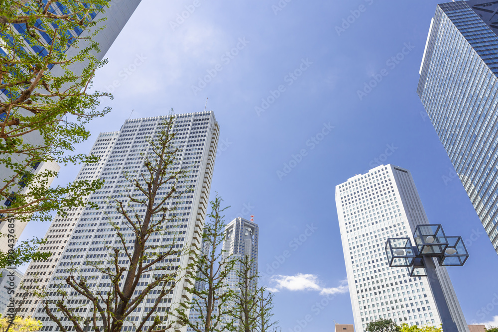 Fototapeta premium 快晴の新宿高層ビル群