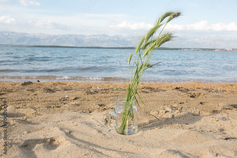 summer weed bouquet on the summer beach