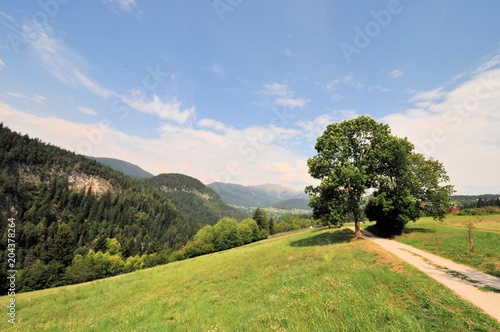 Südtirol Berge Gebirge Weg Pfad photo