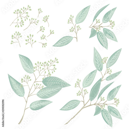 Silver eucaliptus natural branches vector set. Greenery botanical vector 
illustration. Perfect for your design invitation, wedding or greeting cards, patterns and backgrounds, textile, print.