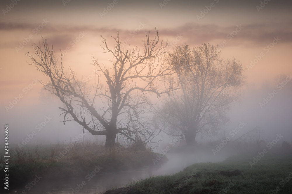Foggy morning over the Jeziorka river near Piaseczno, Poland Foggy morning over the Jeziorka river near Piaseczno, Poland