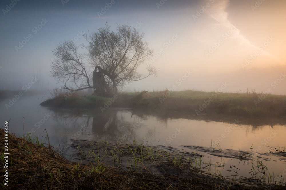 Dawn over the lonely tree at Jeziorka river near Piaseczno, Poland Dawn over the lonely tree at Jeziorka river near Piaseczno, Poland