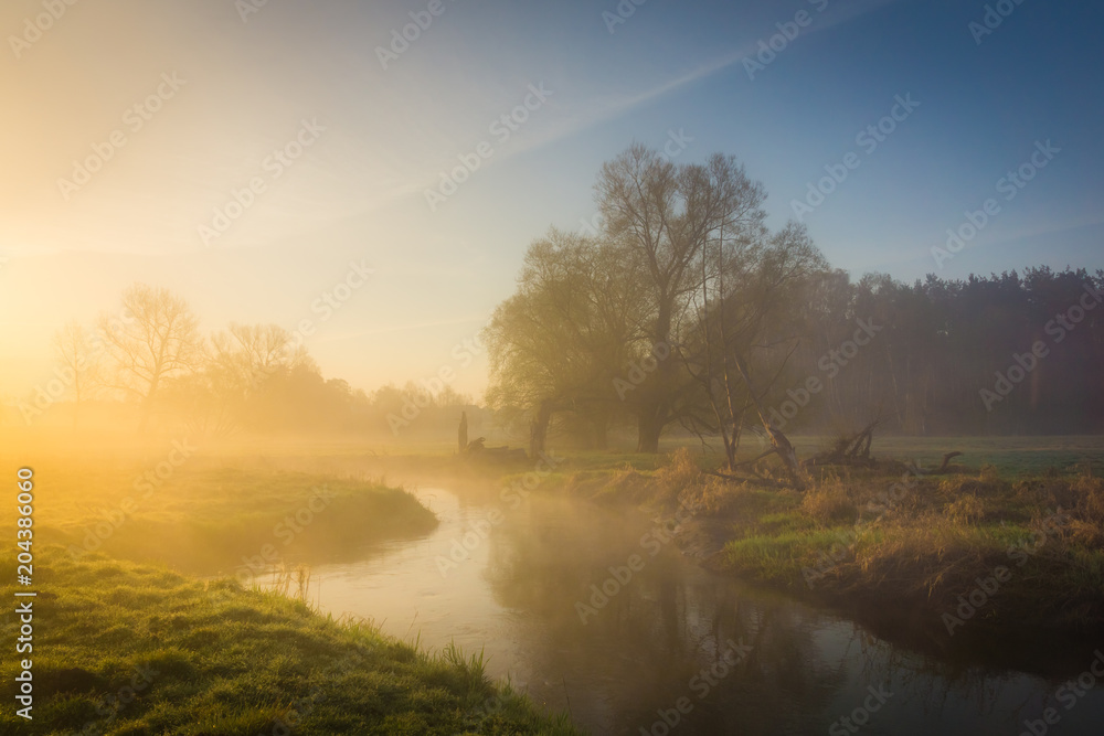 custom made wallpaper toronto digitalSunrise over the Jeziorka river near Piaseczno, Poland