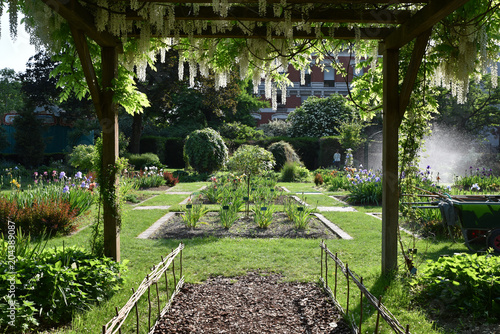Fototapeta Naklejka Na Ścianę i Meble -  Jardin d'iris au printemps