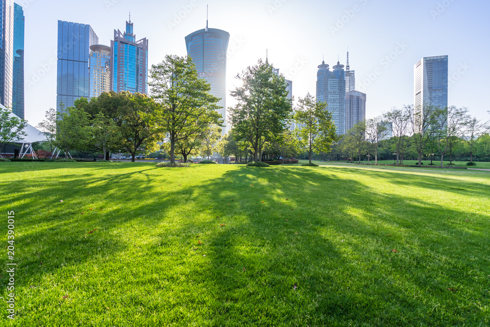 Fototapeta premium green lawn with modern office building