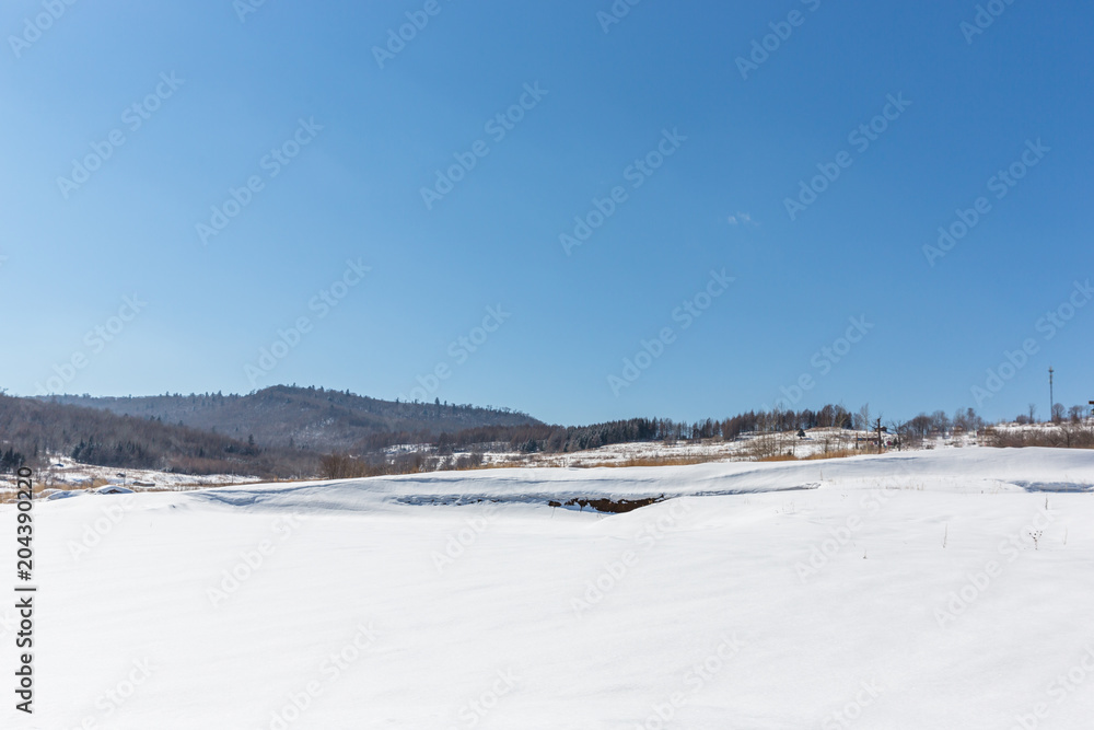 landscape of grassland  in winter