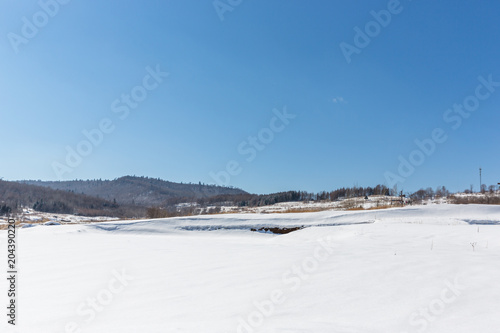 landscape of grassland in winter