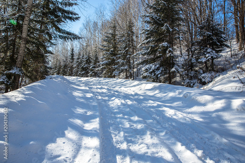 winter road cover snow