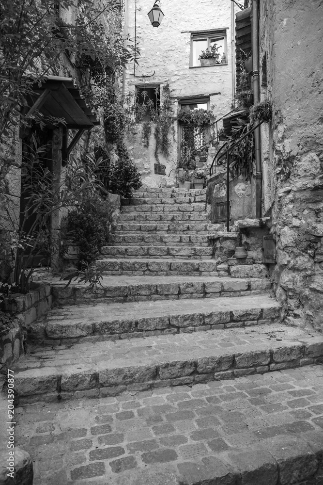 Obraz premium Narrow cobbled street with flowers in the old village Tourrettes-sur-Loup , France.