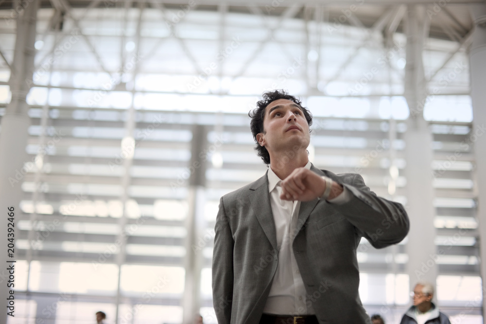 Businessman checking times on an airport information sign. Businessman checking times on an airport information sign.