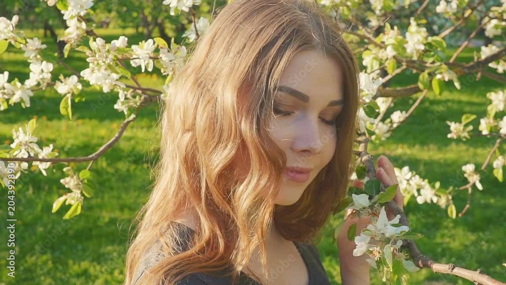 young happy woman walking in an apple orchard in the spring flowers white. Portrait of a beautiful girl young happy woman walking in an apple orchard in the spring flowers white. Portrait of a beautiful girl