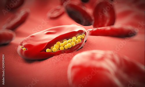 Malaria Virus Cell - 3D illustration photo
