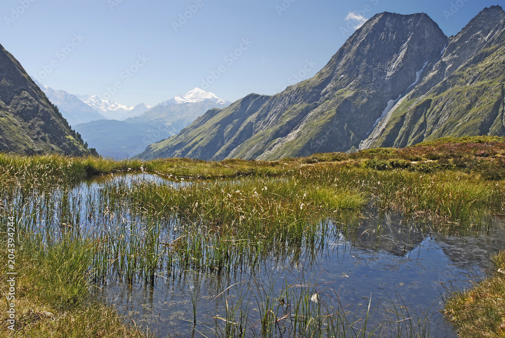 Little pond in the Bernese Alps at a beautiful summer day. View over the Rhone valley to the Valais Alps with Weisshorn and Breithorn. Switzerland