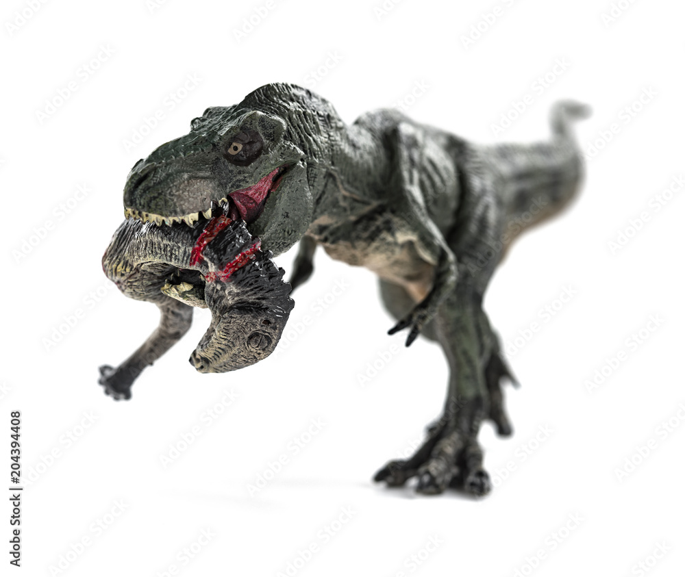 Fototapeta premium tyrannosaurus biting a dinosaur body with blood on white