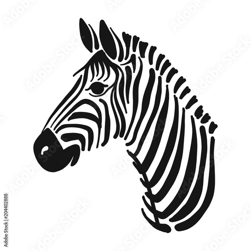 Zebra, sketch for your design