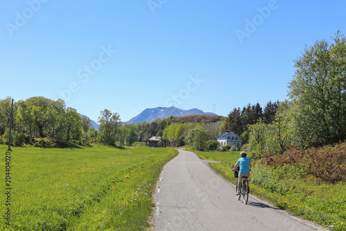 Countryside an summer day at Vega island in Northern Norway