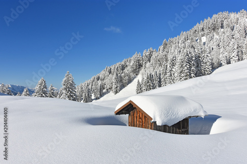 Wallpaper Mural Deeply snow-covered landscape in the mountains with forests and a little hut at a beautiful winter day. Allgaeu Alps, Bavaria, Germany Torontodigital.ca