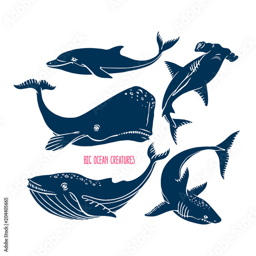 big ocean creatures