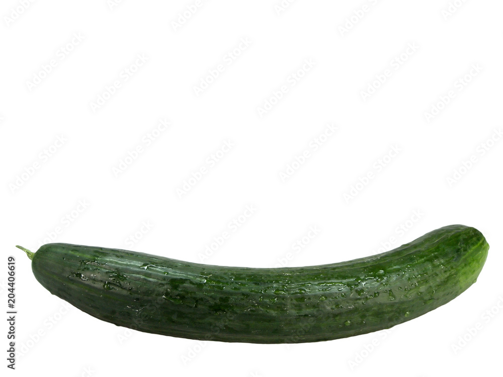 Salatgurke