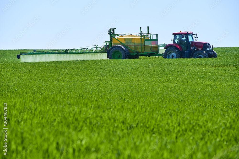 Naklejka premium Tractor spraying wheat field with sprayer