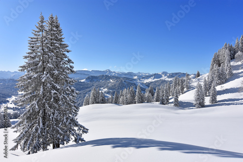 Wallpaper Mural Deeply snow-covered landscape in the Allgaeu Alps with forests at a beautiful winter day. Bavaria, Germany Torontodigital.ca