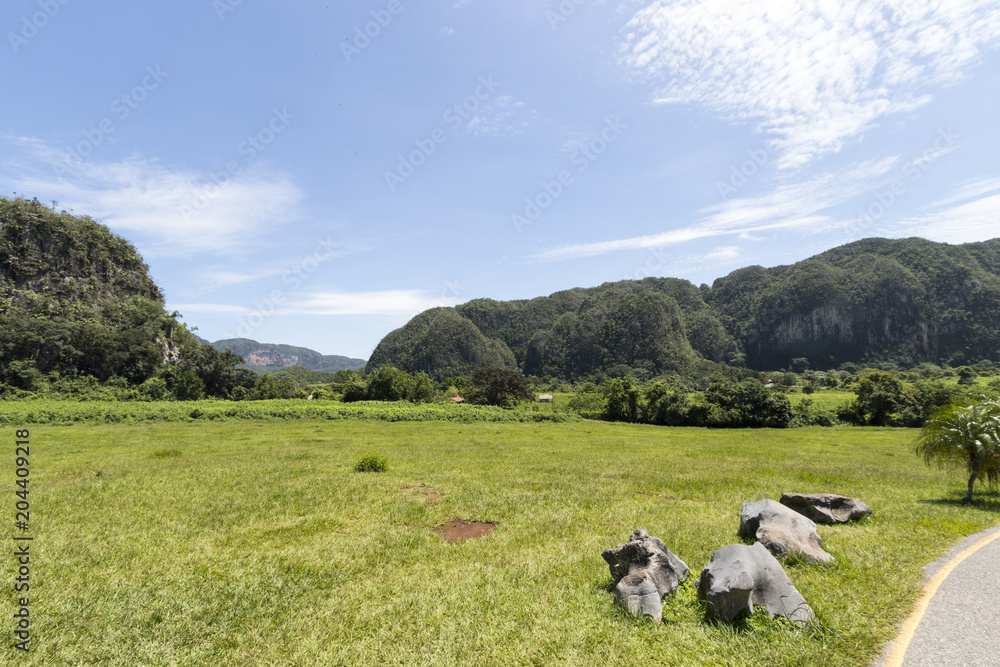 Naklejka premium valle de vinnales Cuba