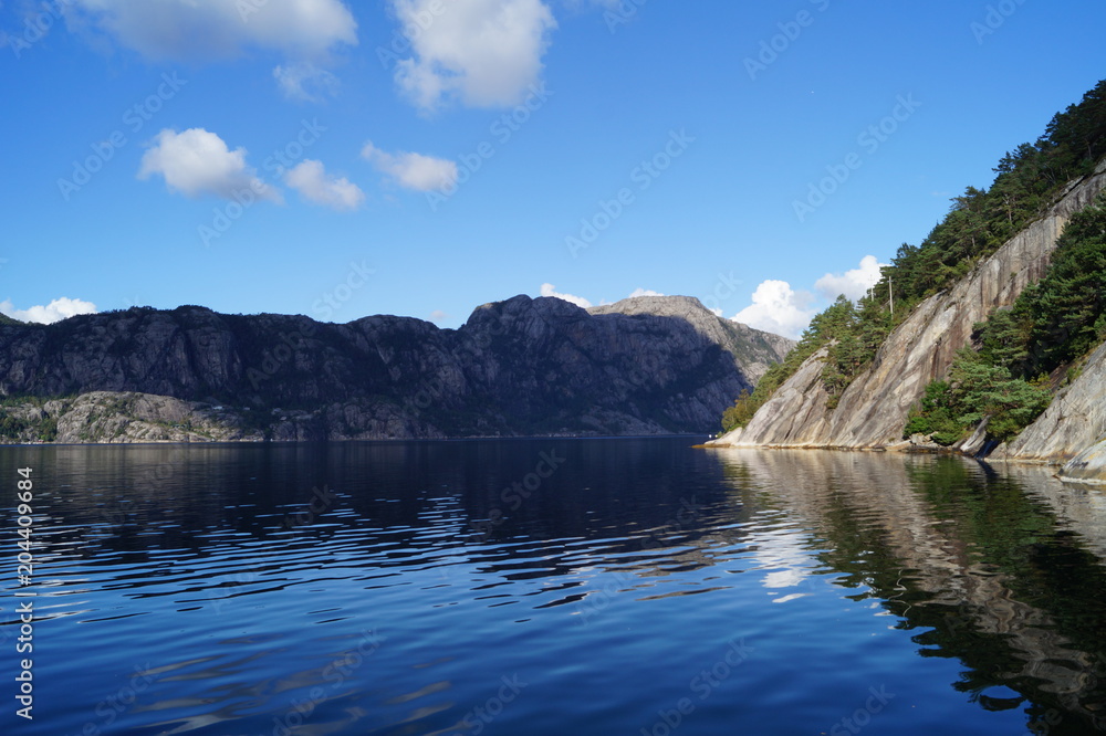 Norwegian fjords and rocks in vegetation