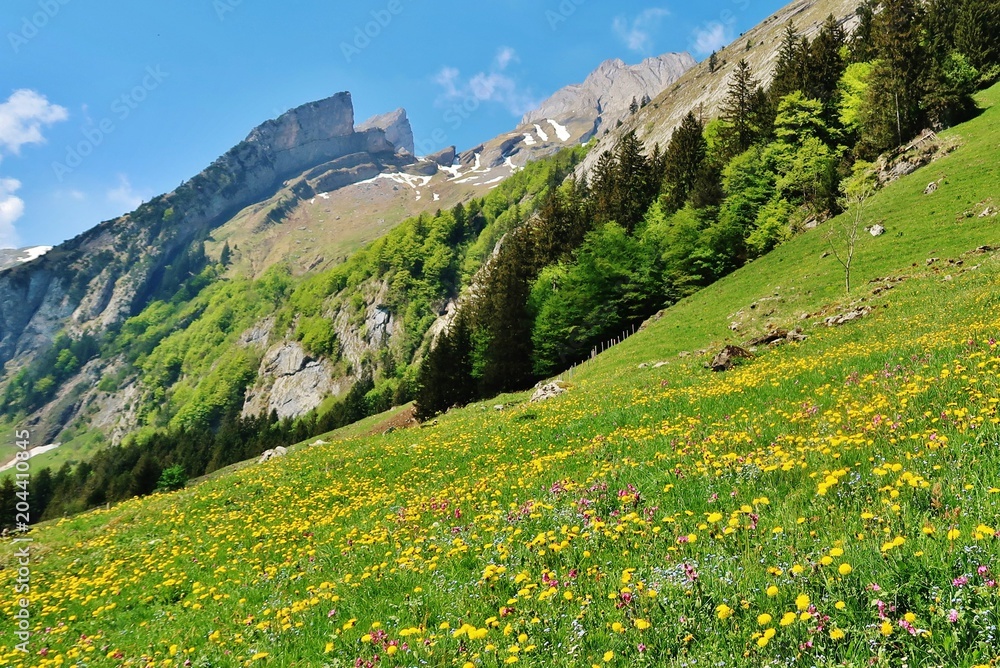 Obraz premium Alpsteingipfel im Frühling