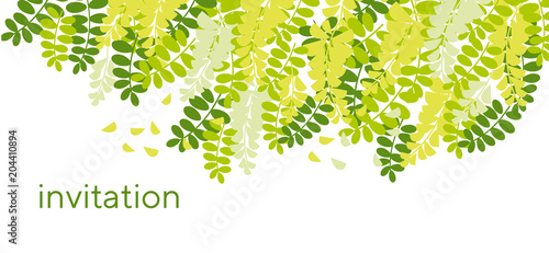 spring acacia blossom card template.