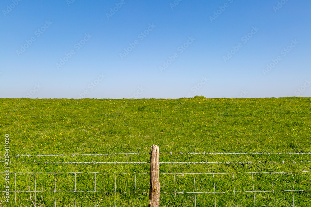 Fototapeta premium A barbed wire fence with a wooden post, in the Sussex countryside