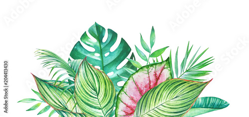 Naklejka Akwarela kompozycja z ręcznie rysowane roślin tropikalnych na białym tle.