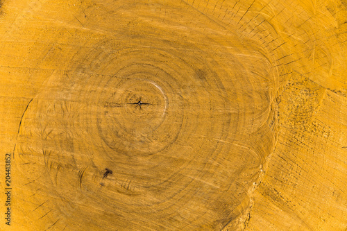Close-up of cracks and circles on the end of an old log