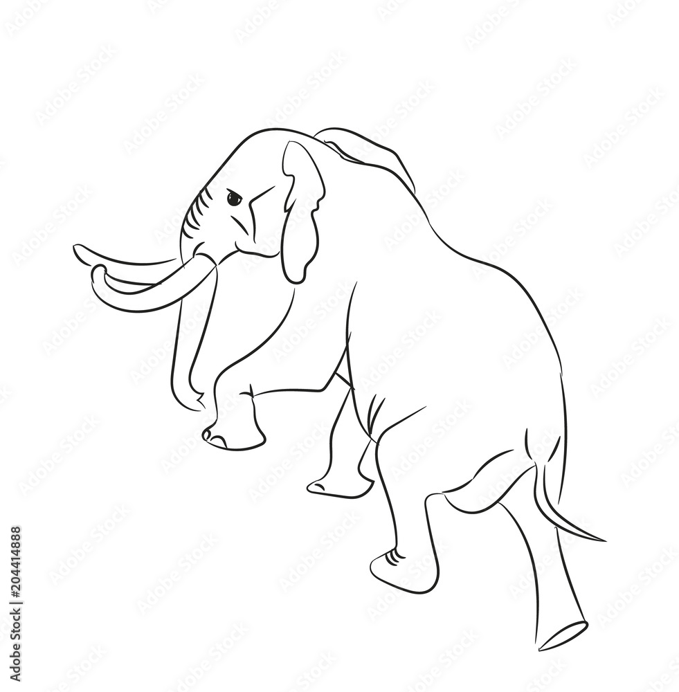 elephant graphic line, goes, vector elephant graphic line, goes, vector