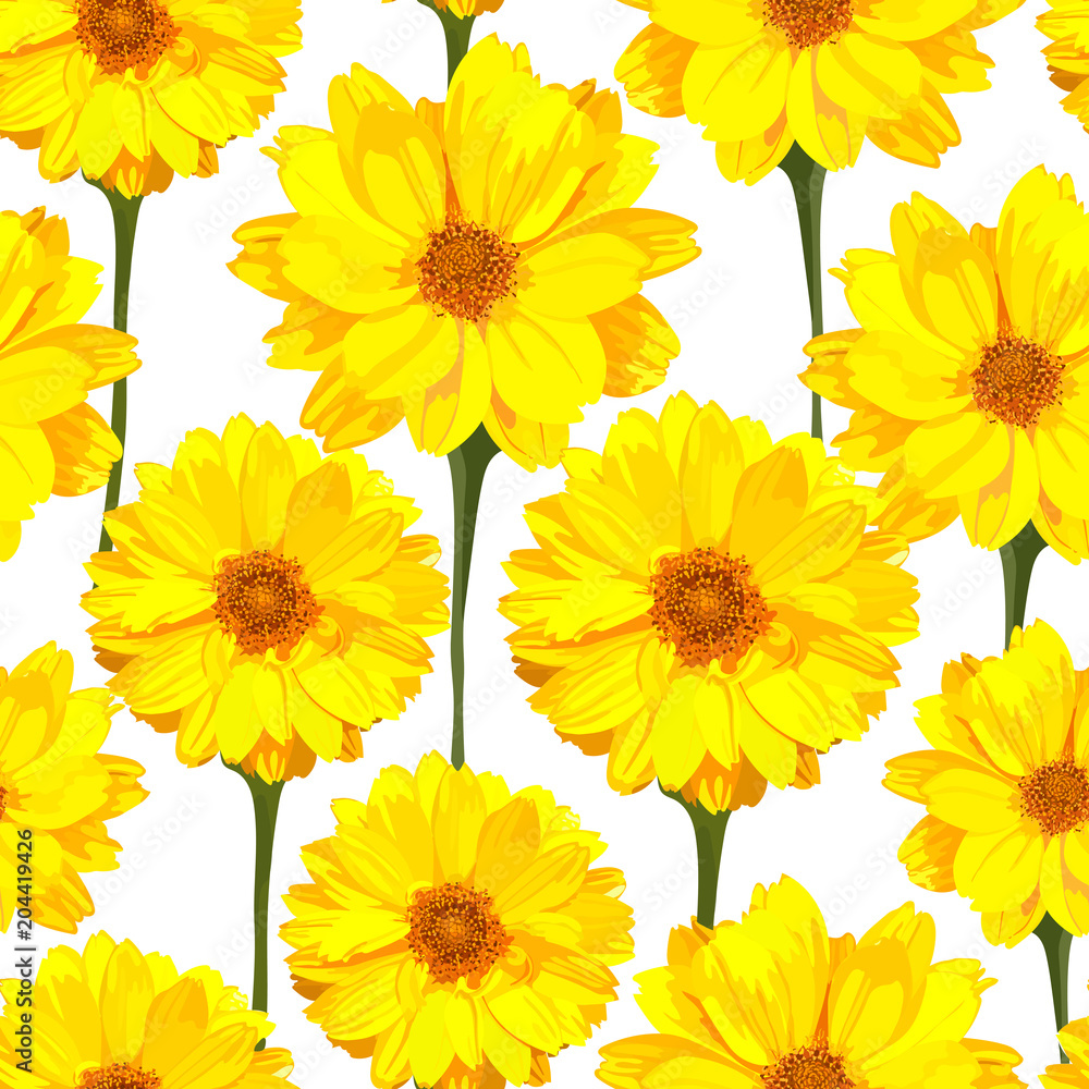 Seamless pattern with chrysanthemums flowers. Vector floral set 